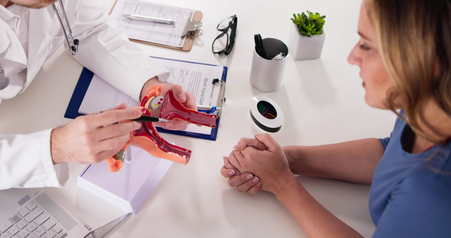Gynecology Uterus Reproductive Female Anatomy uterine fibroid